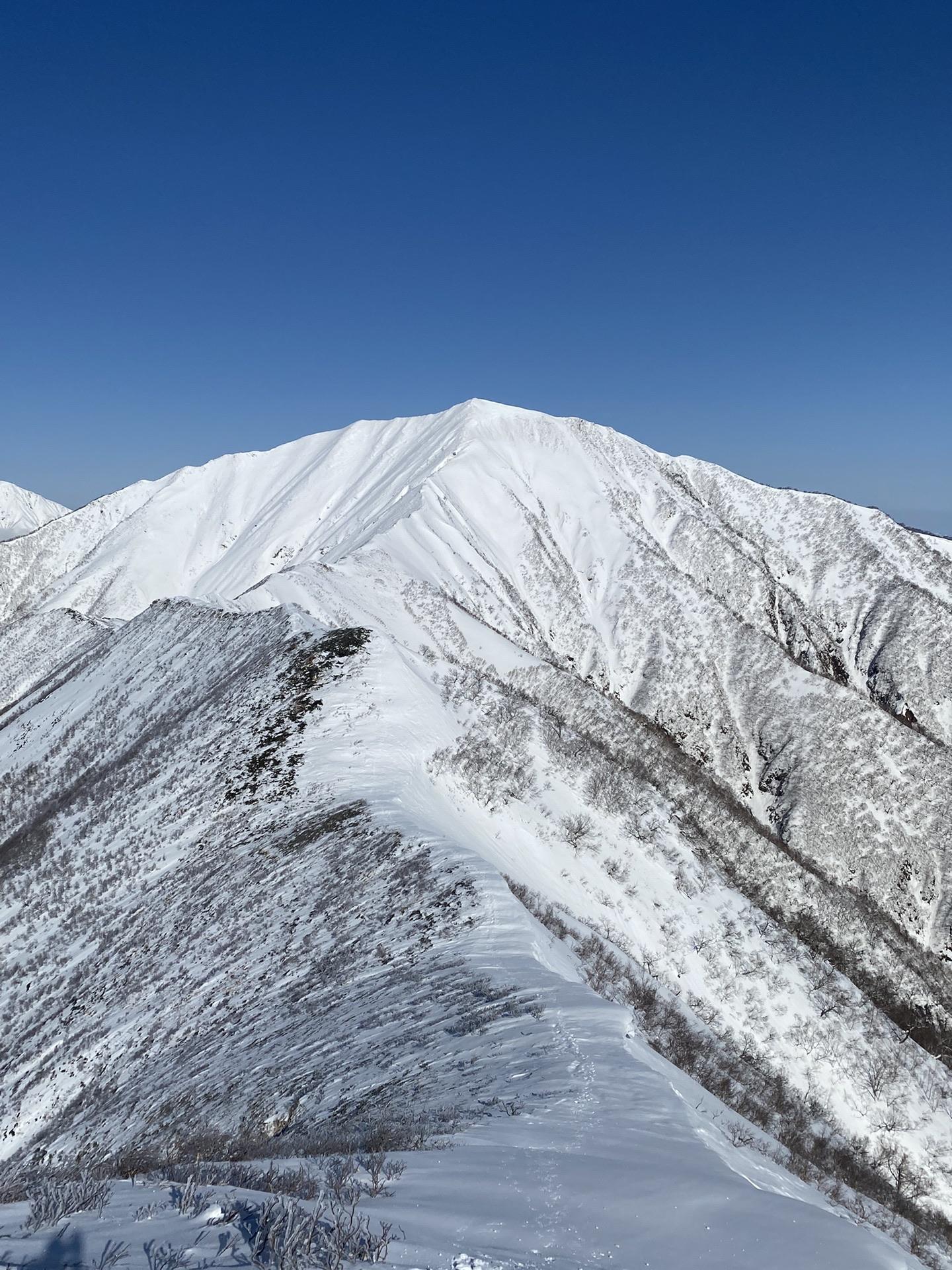 ピリカヌプリ 20230311 / かんちんさんの神威岳の活動データ YAMAP / ヤマップ
