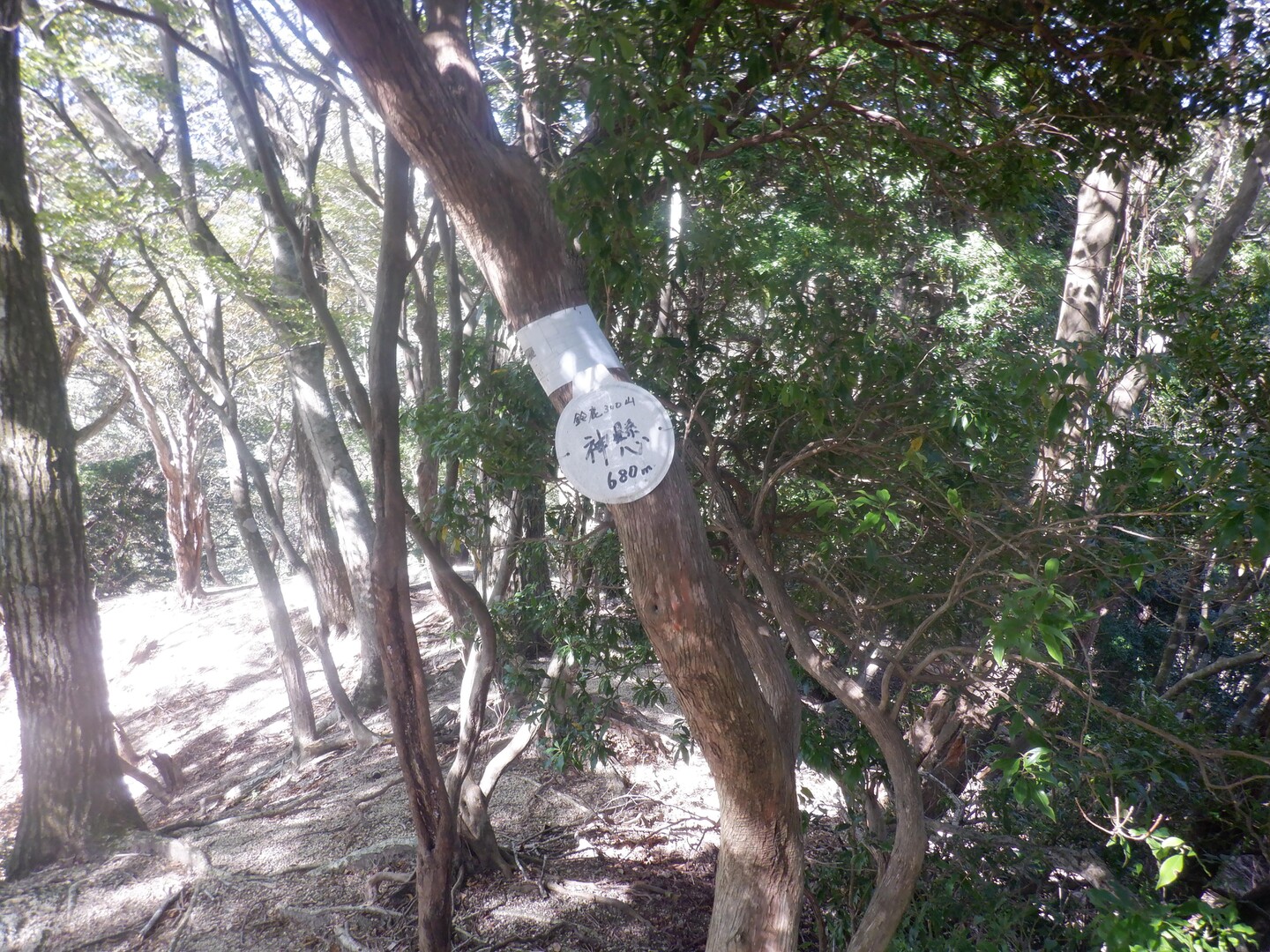お湯を忘れて😭　神懸他 / 老いぼれジョガーさんの御在所岳（御在所山）・雨乞岳の活動データ | YAMAP / ヤマップ