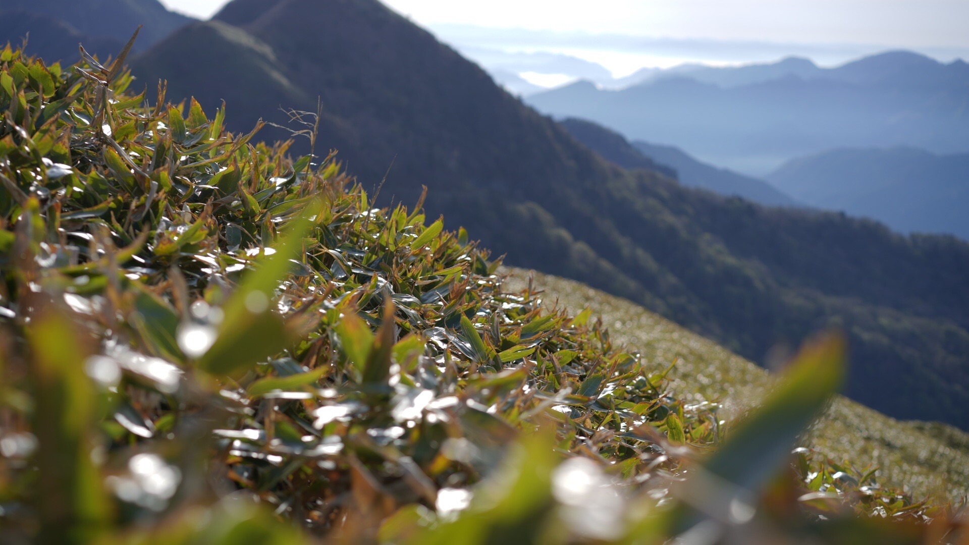 GW中国.四国遠征(伊予富士) / ちーたさんの瓶ヶ森・伊予富士の活動データ YAMAP / ヤマップ