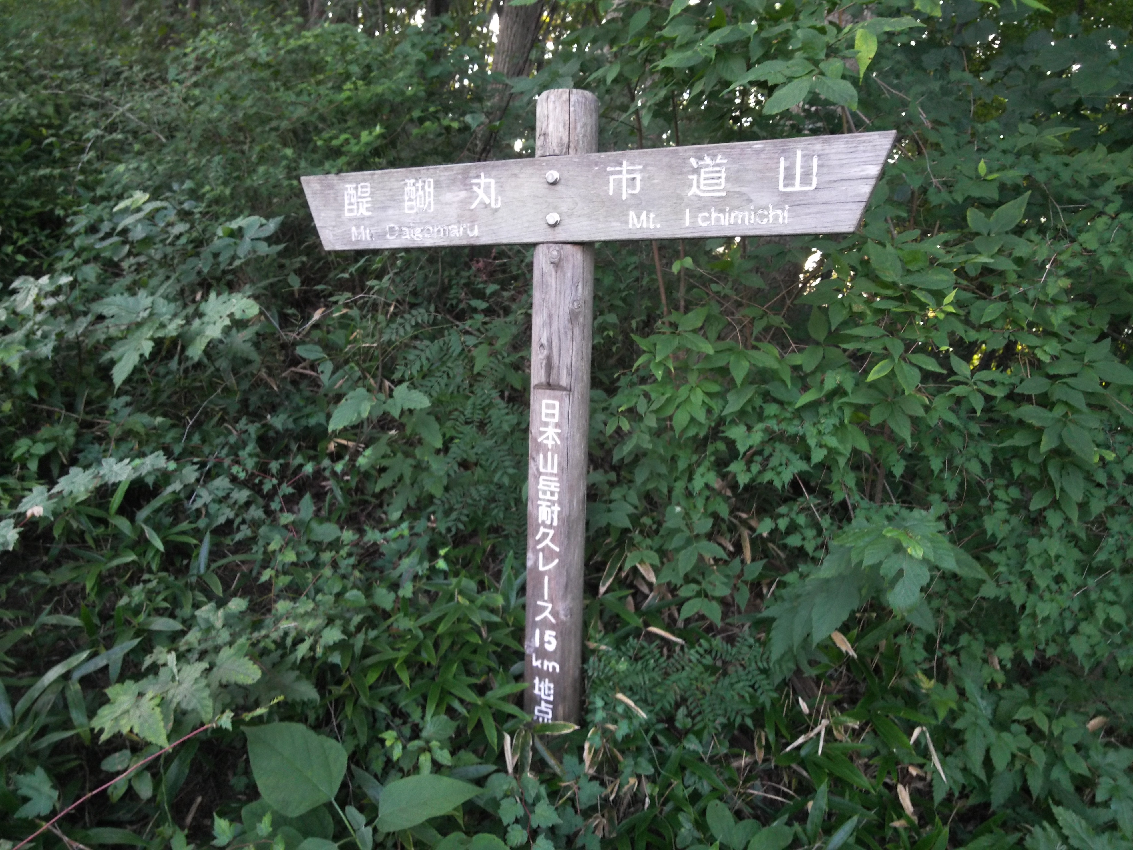 ハセツネcupコース完歩 19 08 04 Kenさんのハセツネcup 日本山岳耐久レース 71 5kmコース の活動データ Yamap ヤマップ