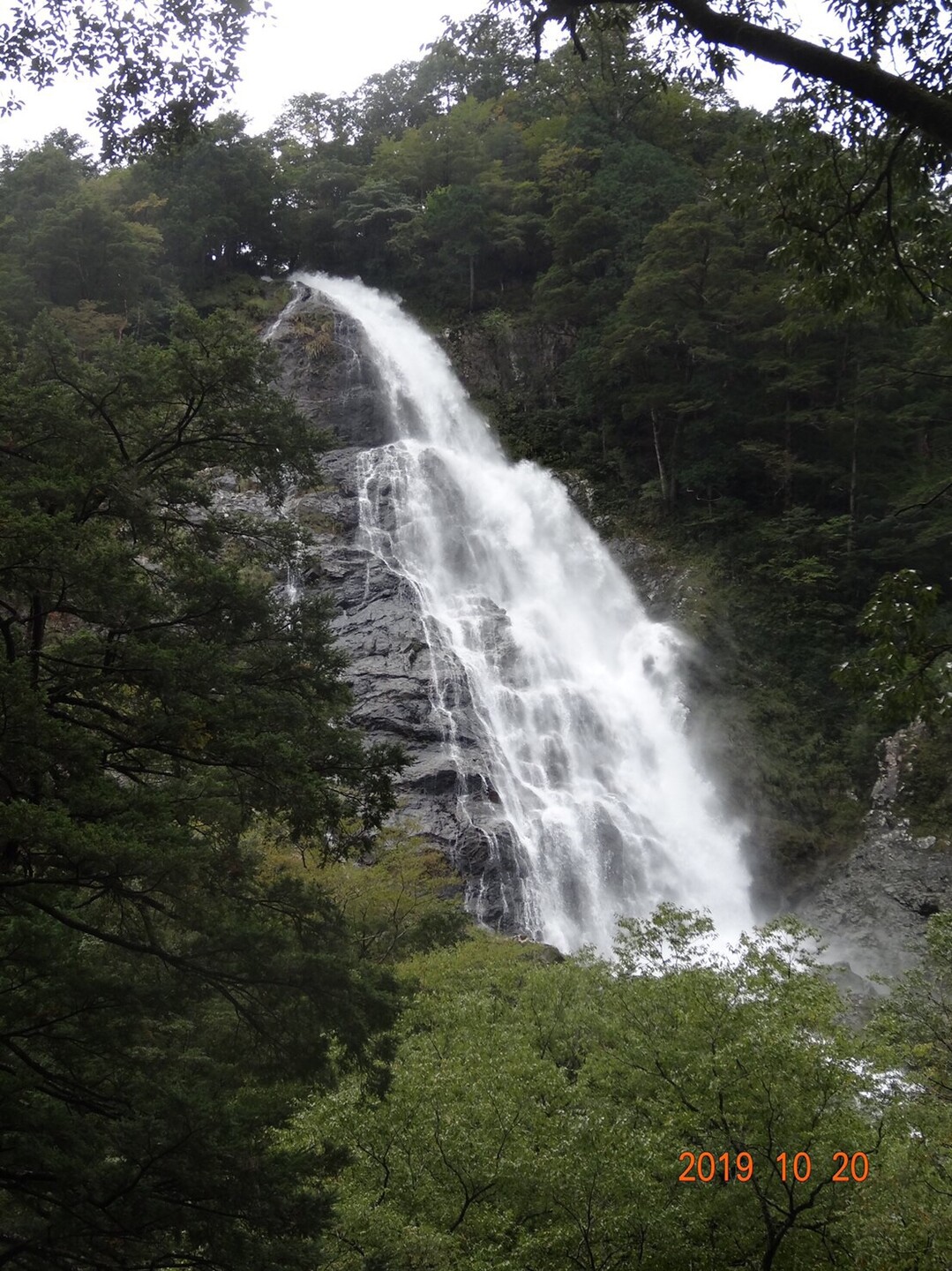 日本三大渓谷 秘境大杉谷へ 手付かずの原生林と水が生み出す幻想的な世界 大雨特別警報の翌日に 大台ヶ原山 日出ヶ岳 大杉谷の写真69枚目 Yamap ヤマップ