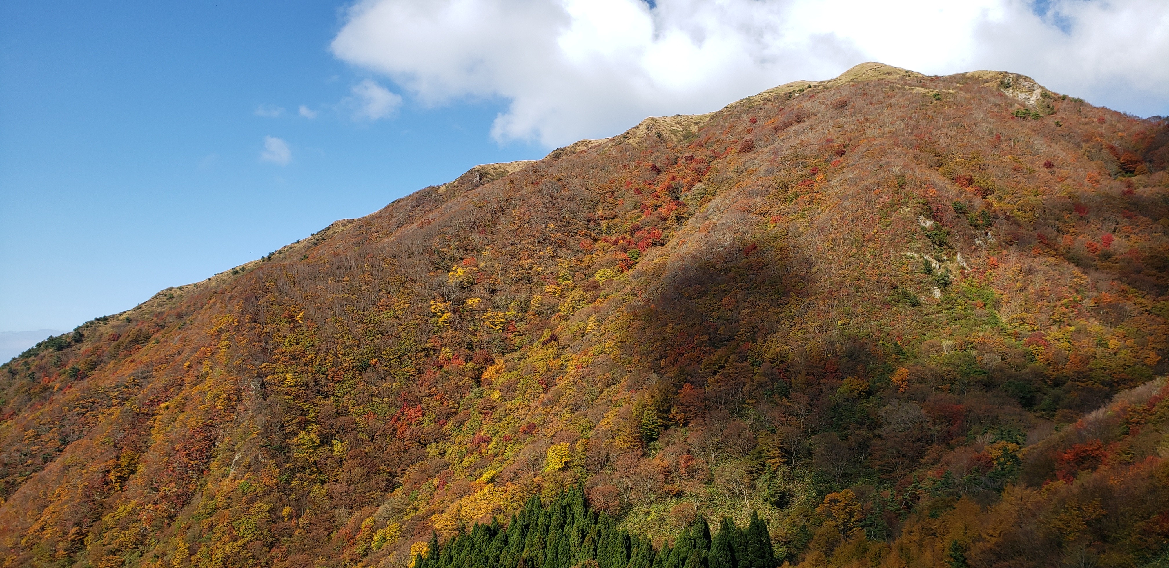 19 11 12 紅葉求めて三瓶山へ 俺は男三瓶を二度登る しょーへーさんの三瓶山 大平山の活動データ Yamap ヤマップ