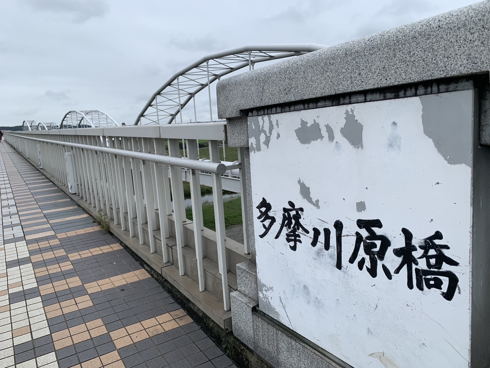 多摩川で遊ぶ スロージョギング10km 登戸 ゲンシジンさんのランニングの活動日記 Yamap ヤマップ