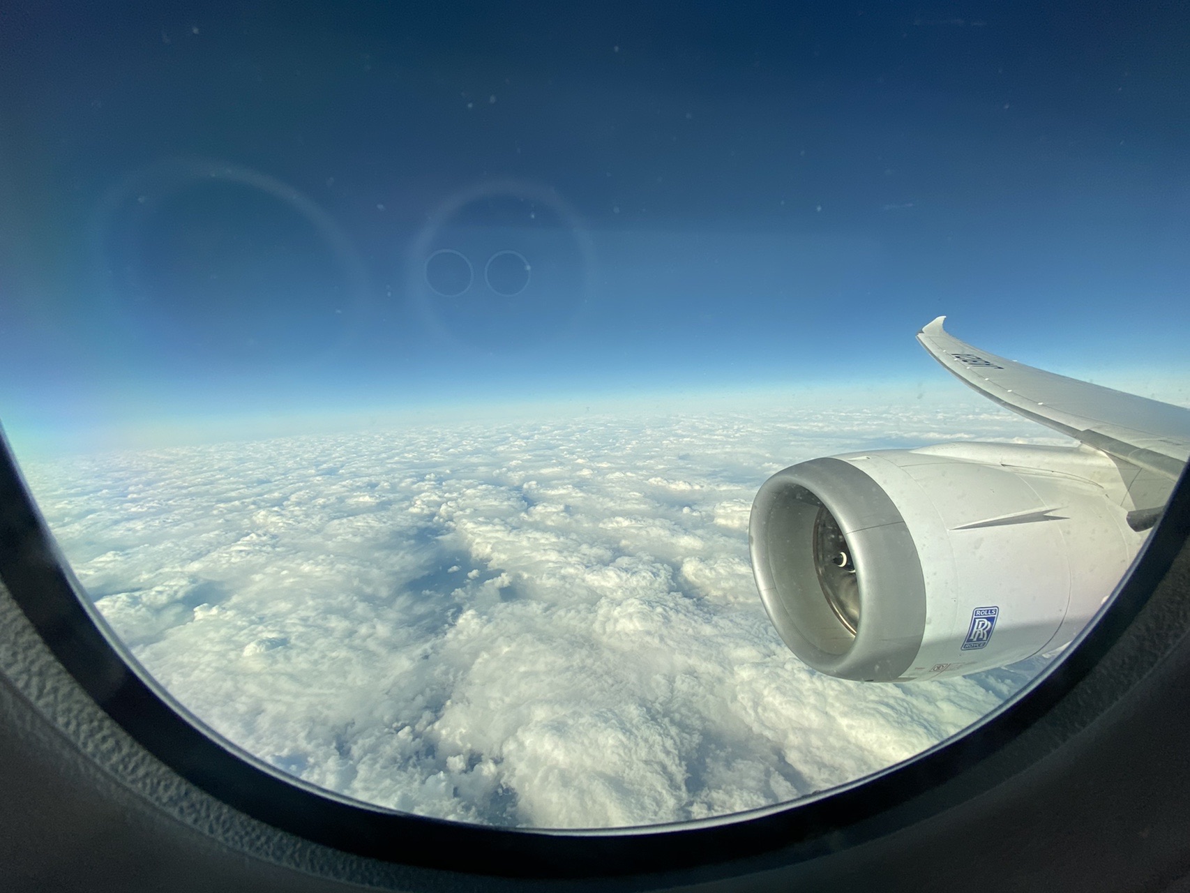 新千歳空港ー大阪伊丹空港 Kouさんの白老町 の活動データ Yamap ヤマップ