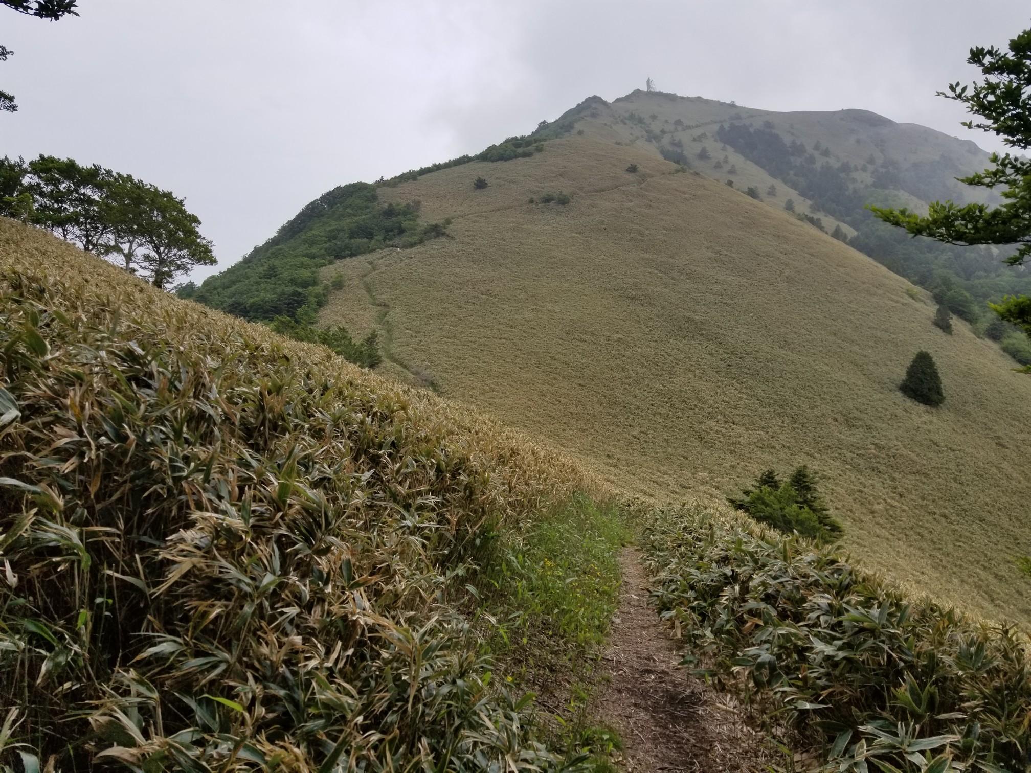 雨の？堂が森へ / 8beeさんの石鎚山・堂ヶ森・二ノ森の活動データ YAMAP / ヤマップ