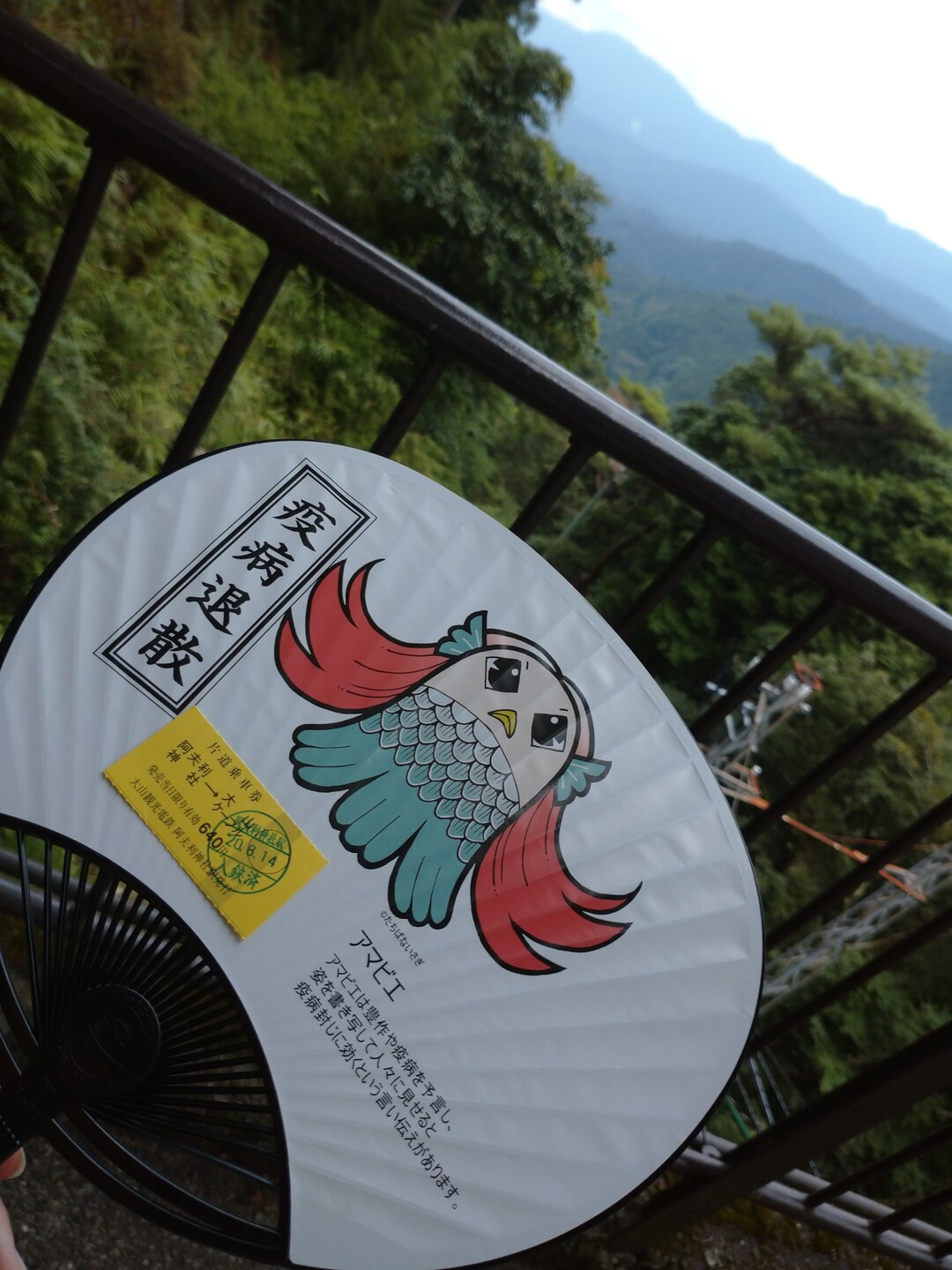 大山 08 14 ひこさんの大山の活動データ Yamap ヤマップ