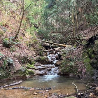 六甲山・長峰山・摩耶山 雰囲気出てきた