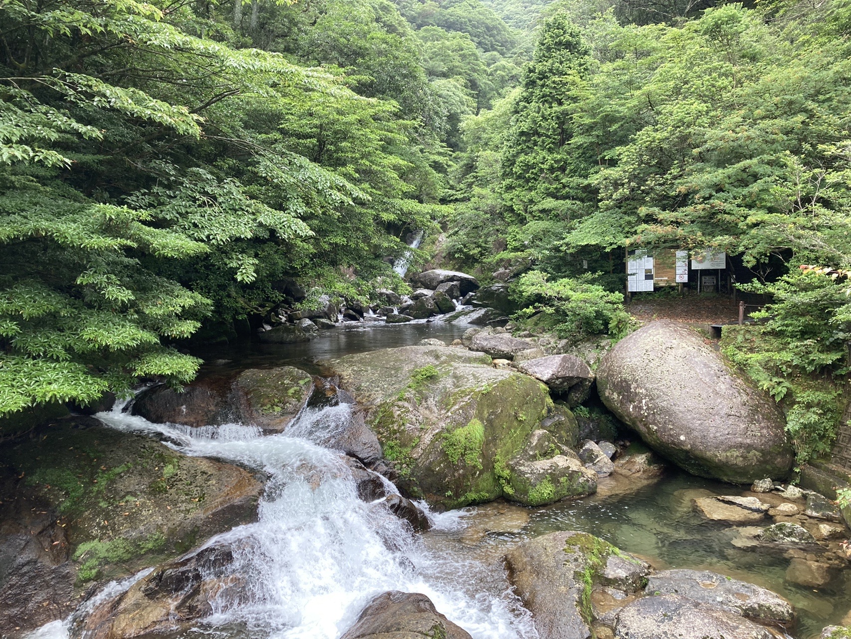 小高塚岳 永田岳 宮之浦岳 栗生岳 黒味岳 07 24 サラダさんの屋久島 宮之浦岳の活動日記 Yamap ヤマップ