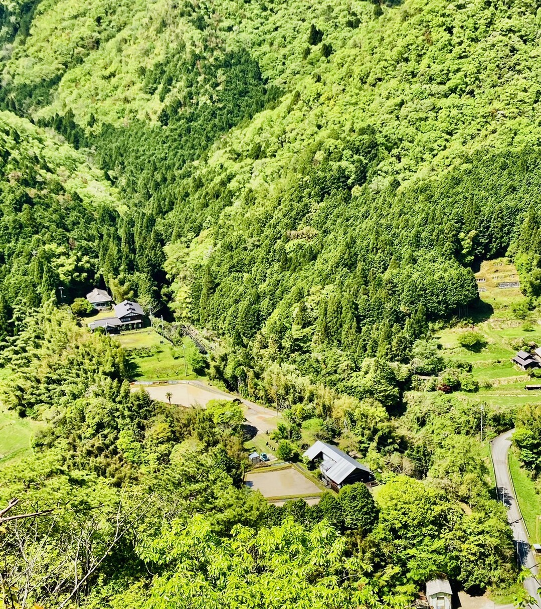 登山道整備を始める!! 多紀連山眺望バツグンの名もなき山に20220430 / かとちゃんさんの御嶽（三嶽）・小金ヶ嶽・西ヶ嶽の活動データ