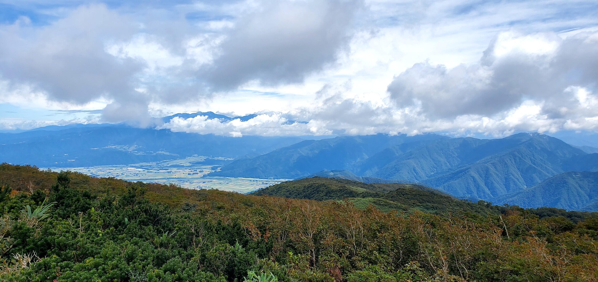 銀杏峯 / もりもり🌲さんの銀杏峰・部子山の活動データ YAMAP / ヤマップ
