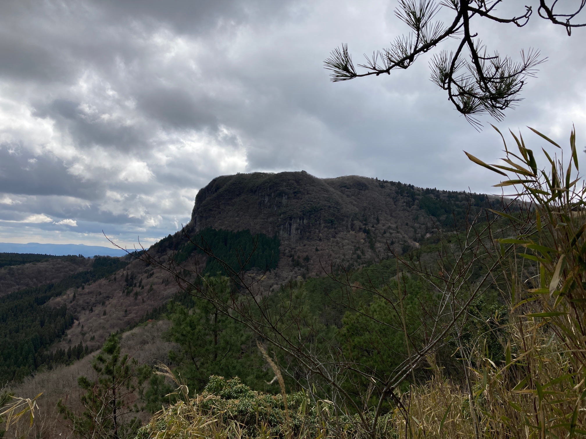 九州のギアナ高地登山 もりのくまさんの万年山 伐株山の活動データ Yamap ヤマップ