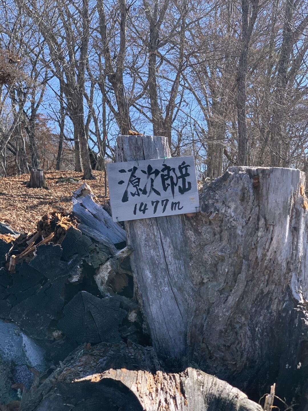 源次郎岳・恩若峯 / スーパーフェニックスさんの甲州高尾山・宮宕山・源次郎岳の活動データ YAMAP / ヤマップ
