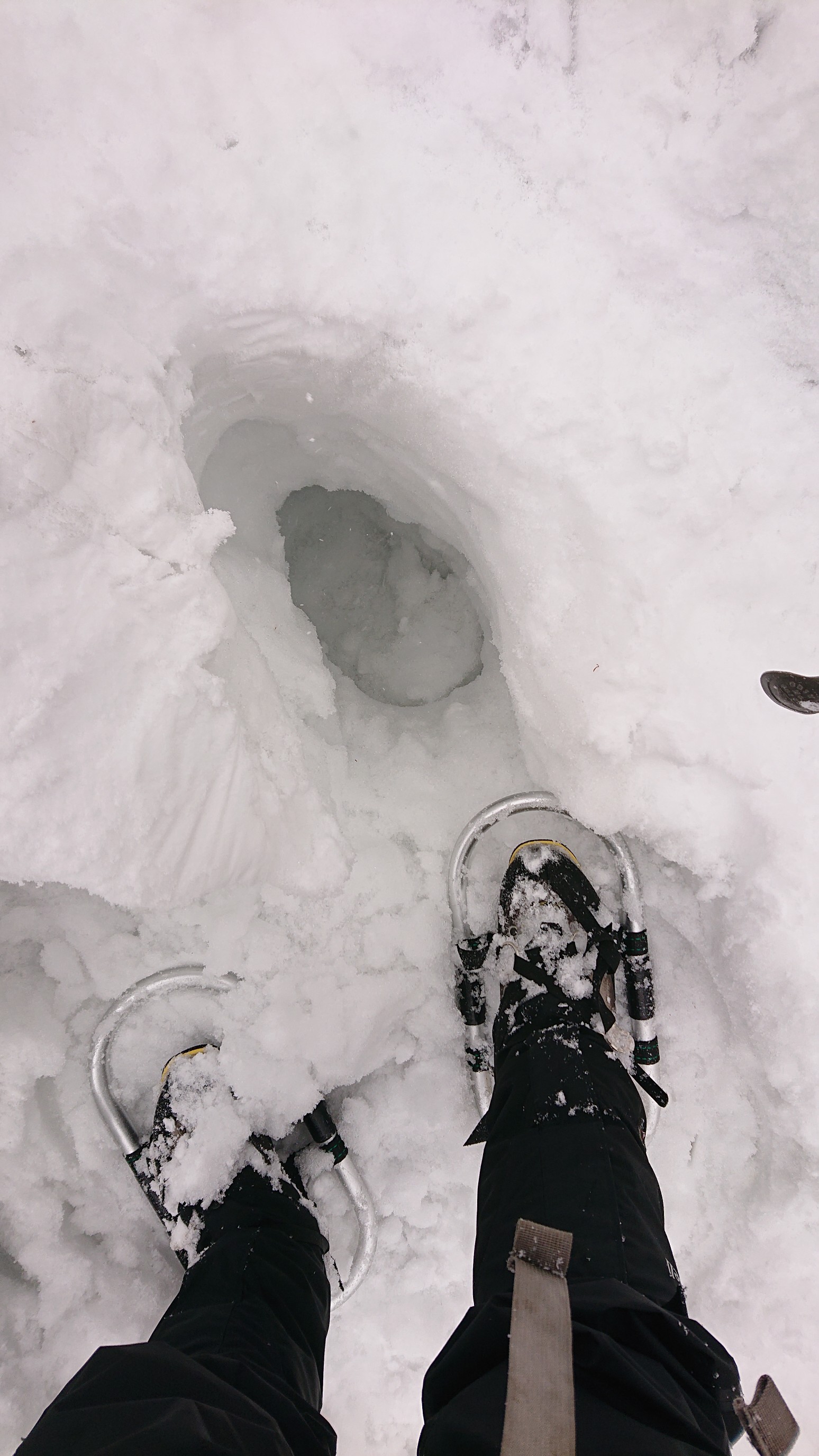 谷川岳 西黒尾根 早々に撤退 21 02 23 らん坊さんの谷川岳 七ツ小屋山 大源太山の活動日記 Yamap ヤマップ