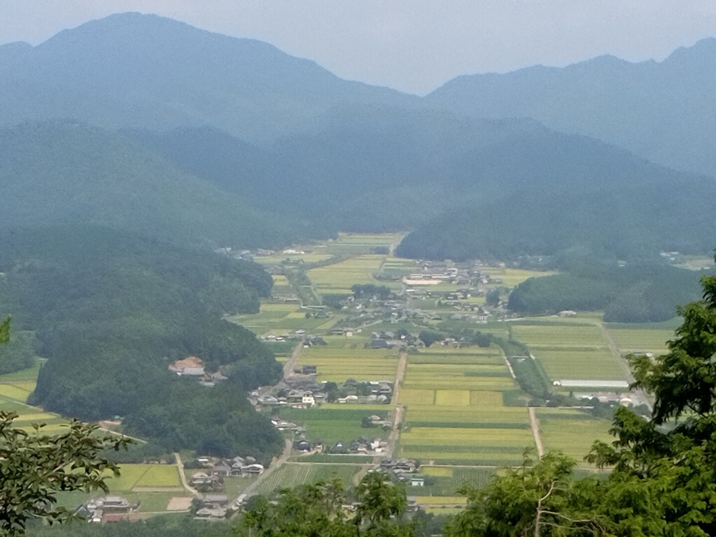 戦国時代の山城跡 高城山 スギトシさんの高城山の活動日記 Yamap ヤマップ