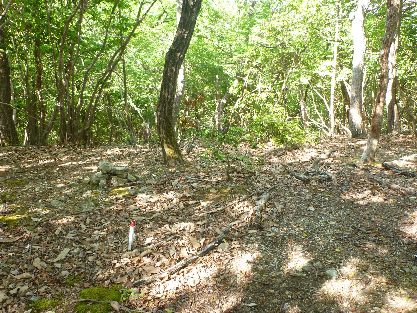 深泥池周辺さんぽ 05 08 Hanagonさんの京都市の活動データ Yamap ヤマップ