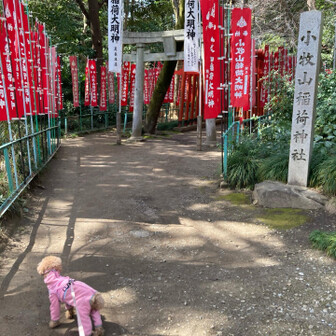 小牧山 小牧山稲荷神社