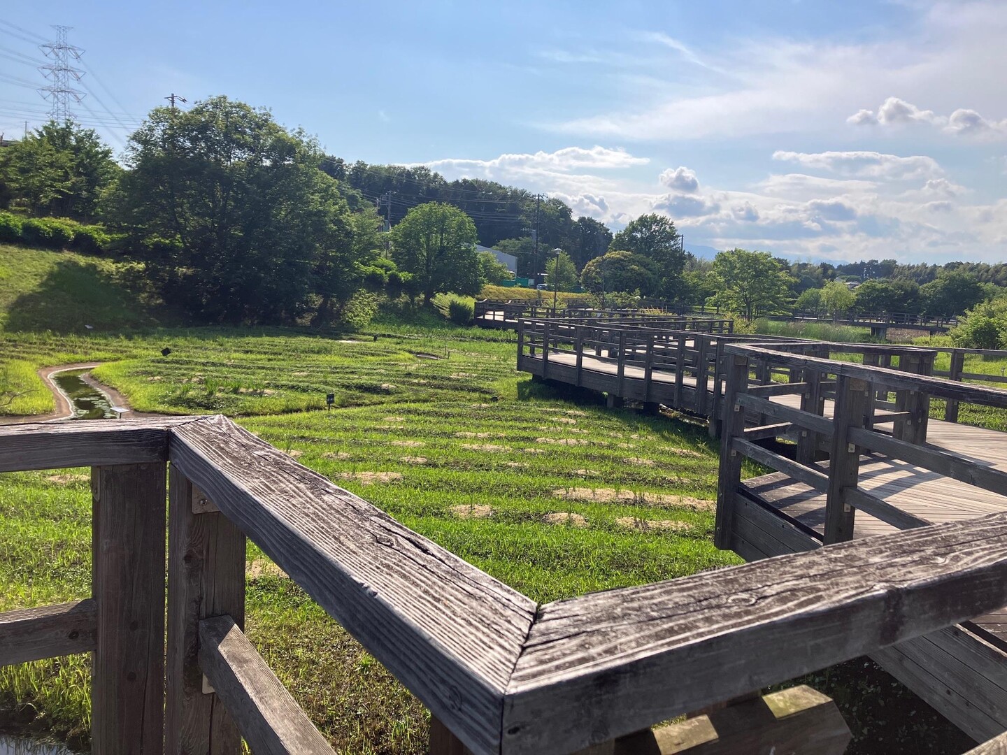 蟹ヶ谷公園からの登り坂インターバル / ハシクニさんのランニングの活動データ YAMAP / ヤマップ