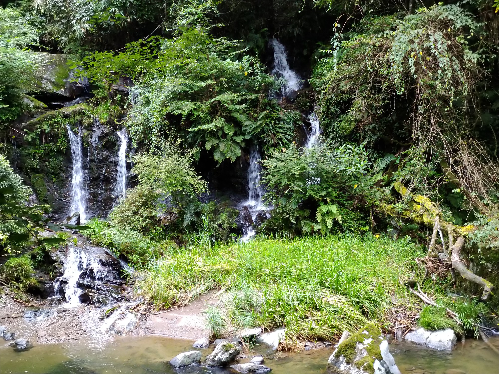 ポンコツ探検隊 期待の大型新人2 高瀬峡 08 10 のぶちさんの石ヶ岳の活動日記 Yamap ヤマップ