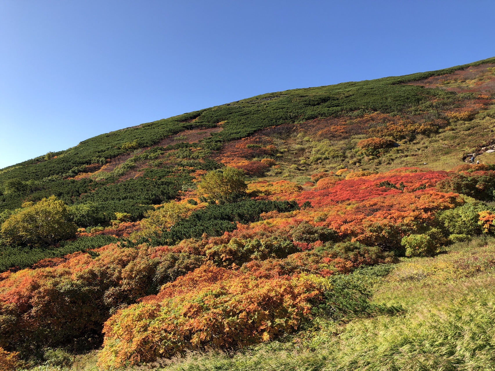 大雪山系 銀泉台 赤岳 19 09 13 Toshi Papaさんの大雪山系 旭岳 トムラウシの活動データ Yamap ヤマップ