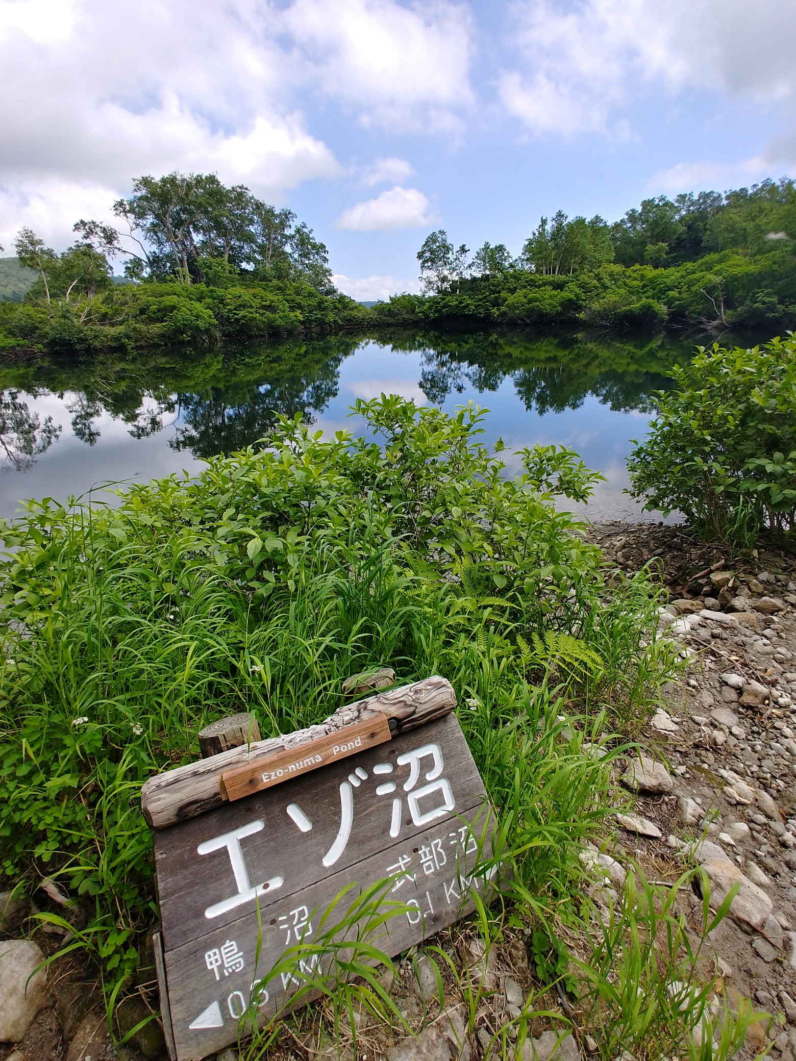 大雪高原 沼めぐり 大学沼往復 08 09 かなけんさんの大雪山系 旭岳 トムラウシの活動データ Yamap ヤマップ
