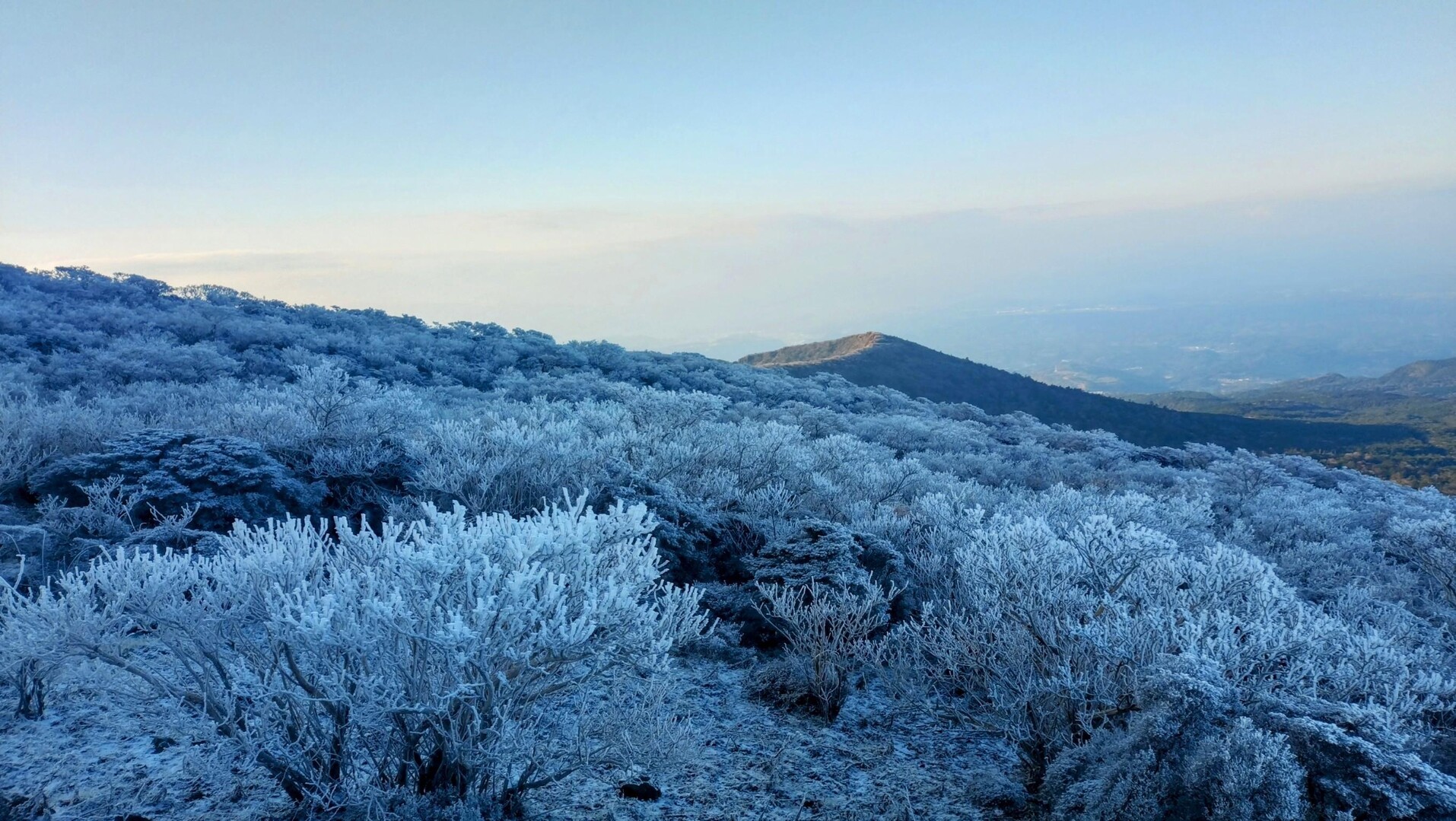 初夏の韓国岳から見た霧島の山、F10号、佐原聖春 2017年