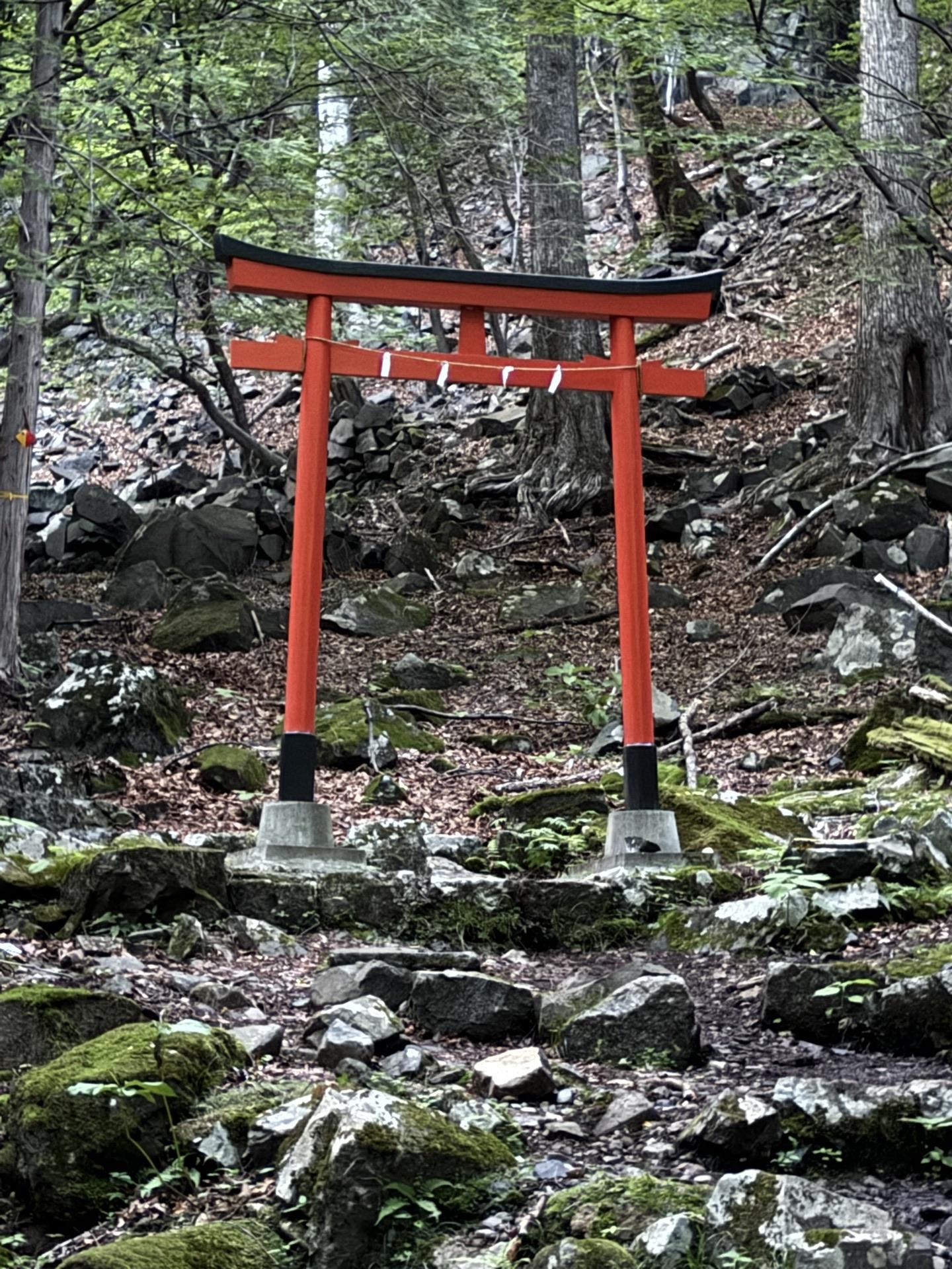 皇海山・袈裟丸山・庚申山 登山道入口一の鳥居⛩️着　一礼。ここから林道を4km下り山行終了。