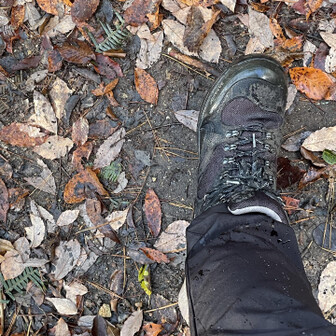 各務原アルプス（関南アルプス）・八木三山 お陰でズボンが濡れた