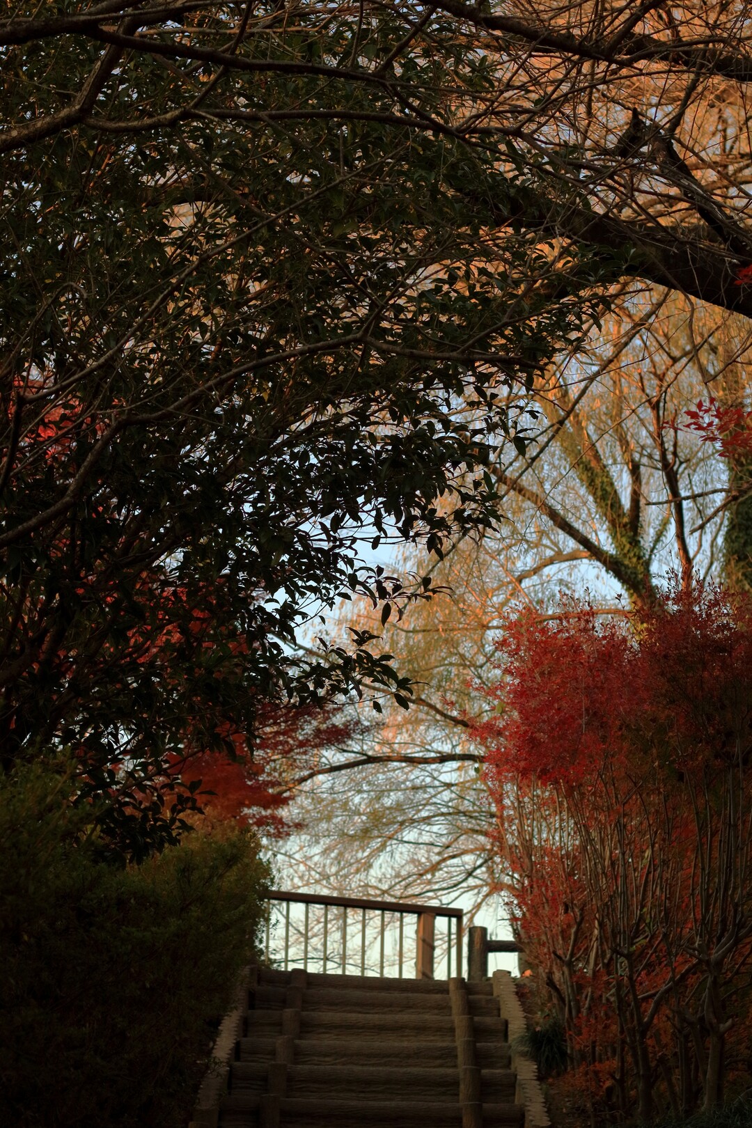 関東の耶馬渓 高津戸峡の紅葉 19 12 01 荒神山の写真13枚目 この辺はいい感じ Yamap ヤマップ