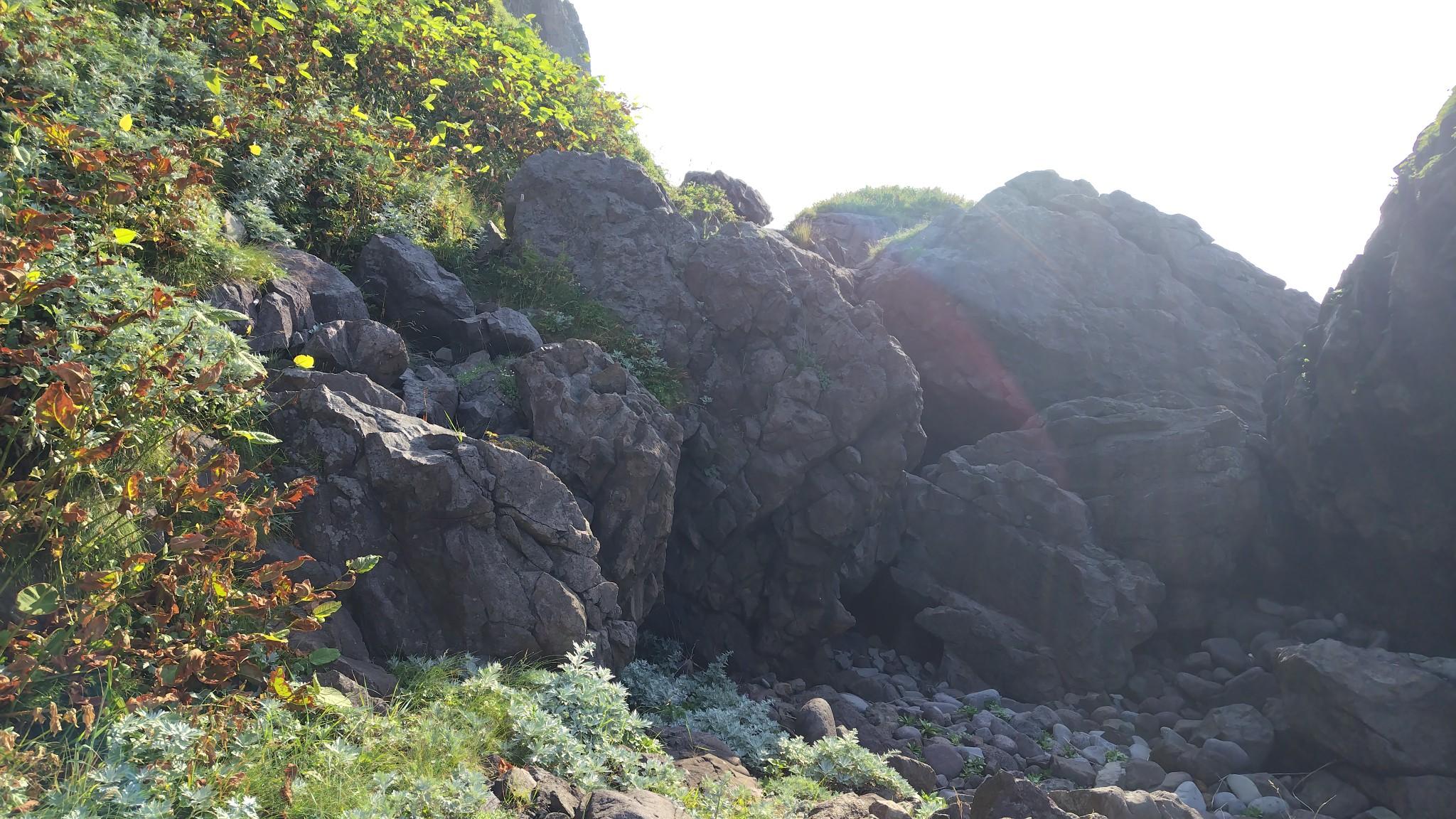 このように先の見渡せない場所では、積極的に声を発して熊に人間の存在を知らせる。