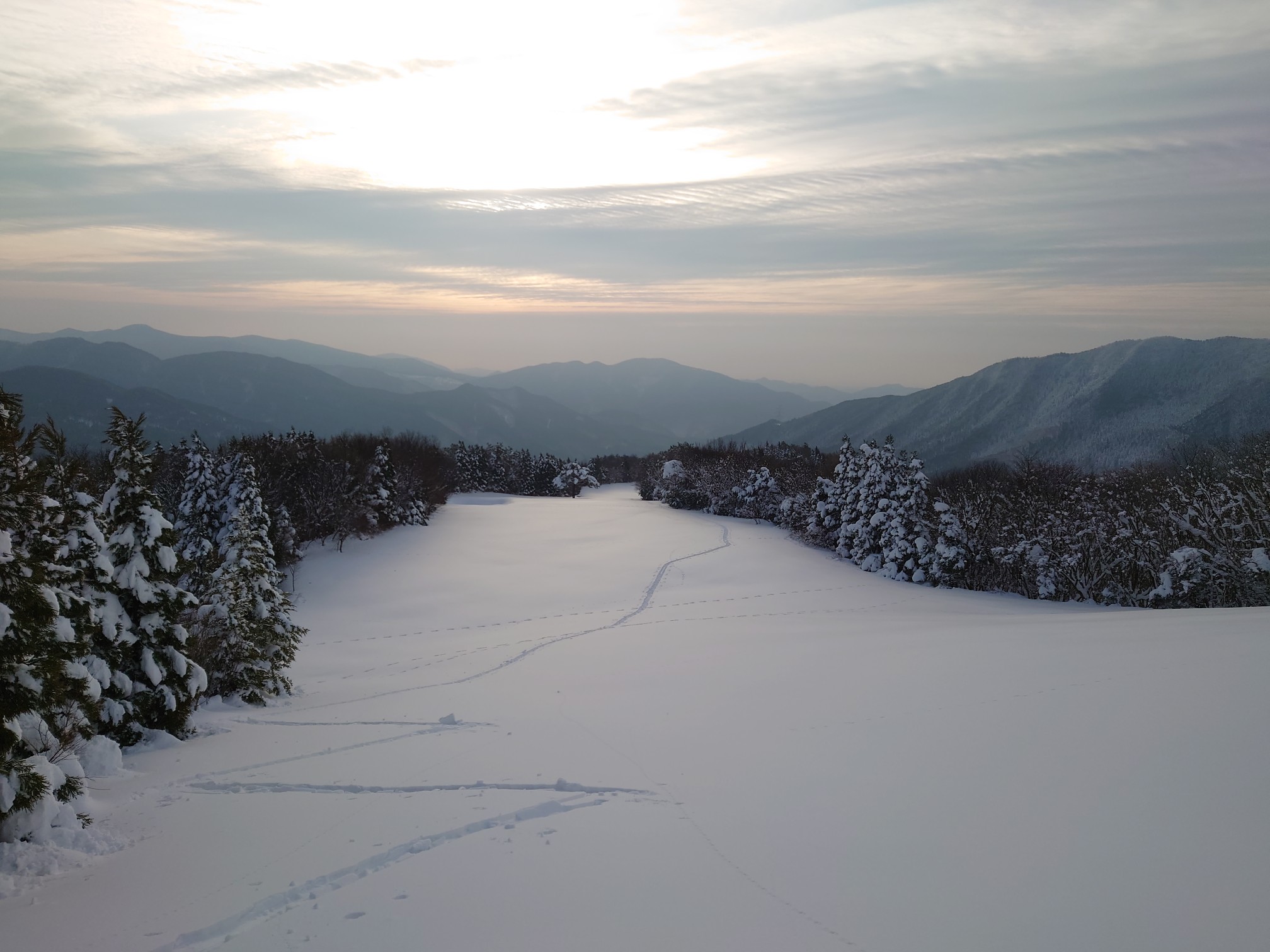 花見山セルフスキー場おーぷん アルヘナさんの花見山の活動データ Yamap ヤマップ