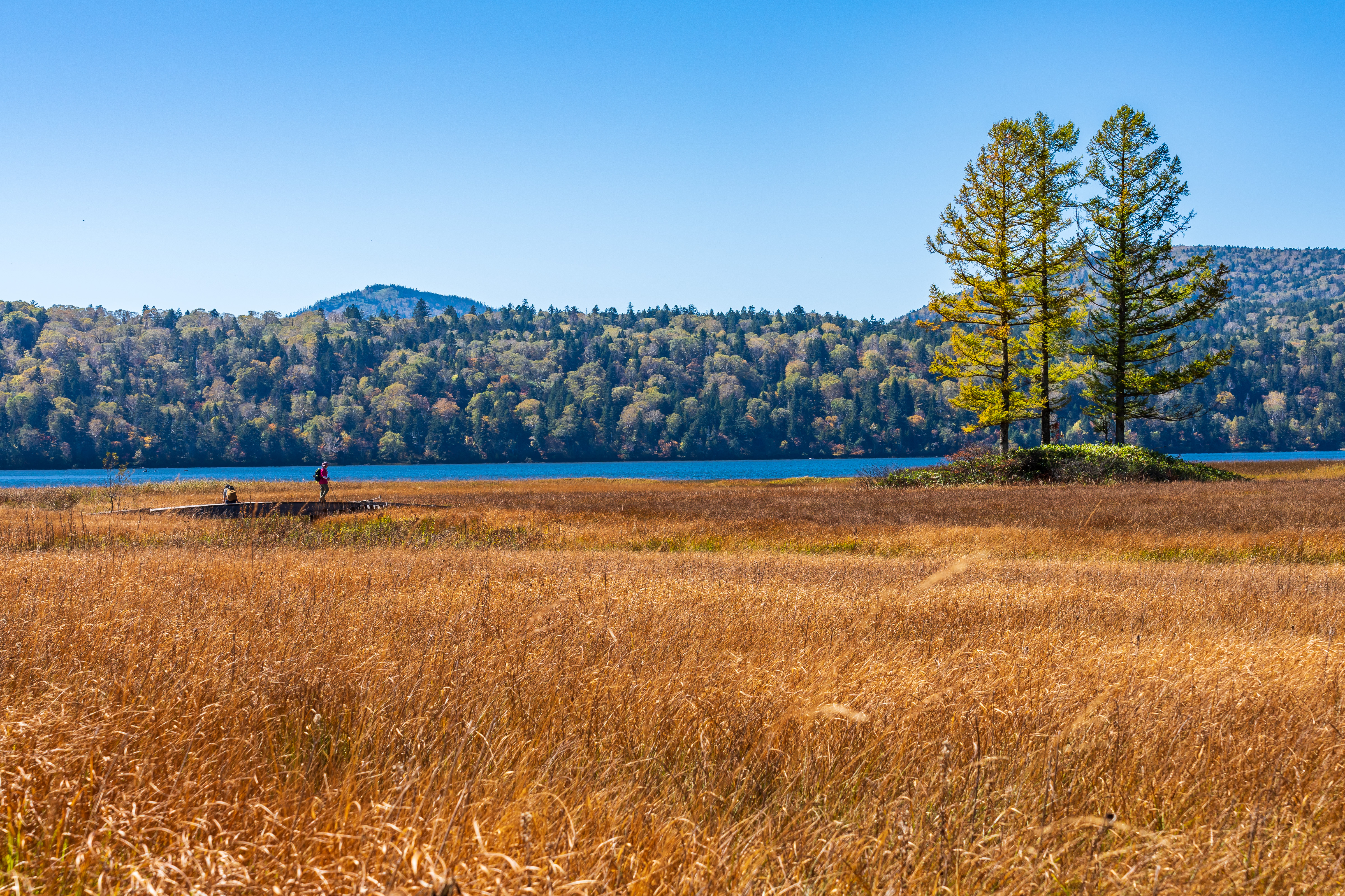 尾瀬沼と大江湿原 晩秋へ 奥武蔵のｔさんの尾瀬 燧ヶ岳の活動日記 Yamap ヤマップ