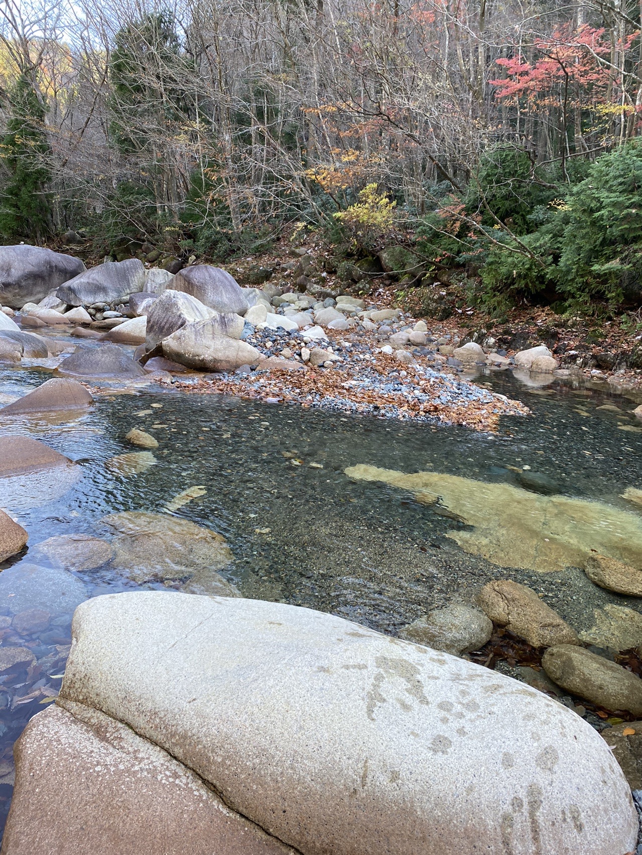 朝明渓谷から愛知川 えちがわ 初渡渉 ゆみばーさんの釈迦ヶ岳の活動データ Yamap ヤマップ