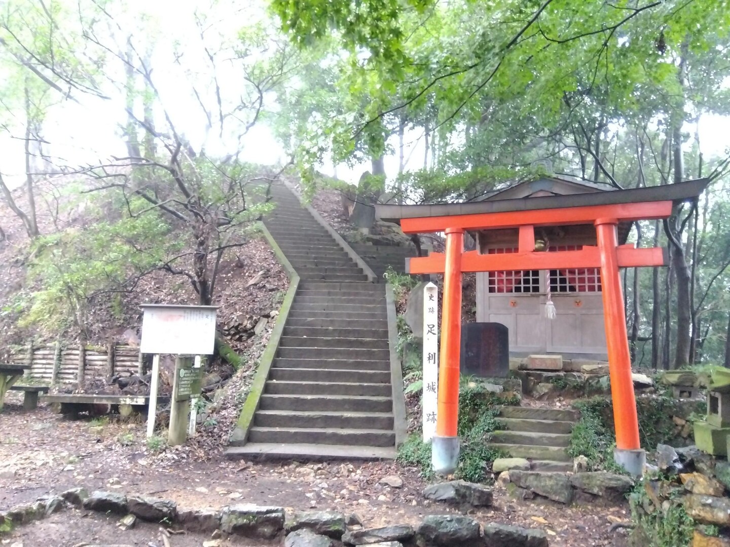 両崖山・天狗山 / かずさんの両崖山・仙人ヶ岳・石尊山の活動データ YAMAP / ヤマップ