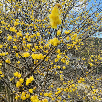 岩湧山・一徳防山・三石山 🟨