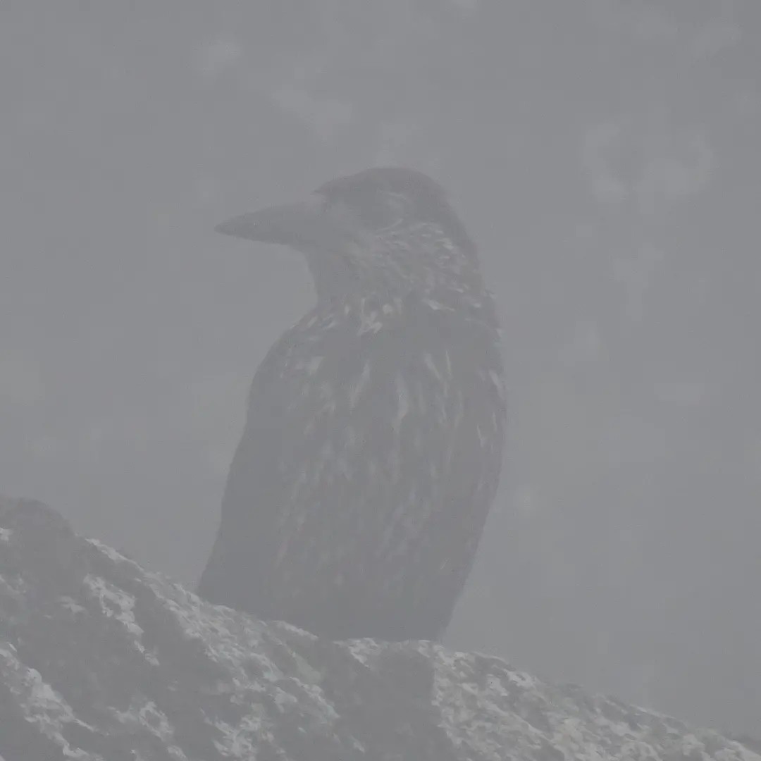 金峰山へ登山に行きました You Tu Masaさんのモーメント Yamap ヤマップ