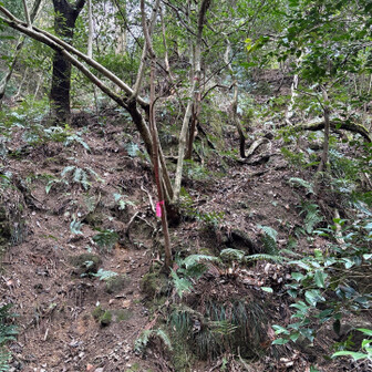 六甲山・長峰山・摩耶山 左側⬅️を高巻きします。
急登でここが第一の難関です