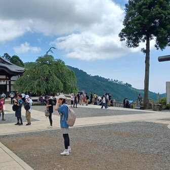 人が多くなってきました