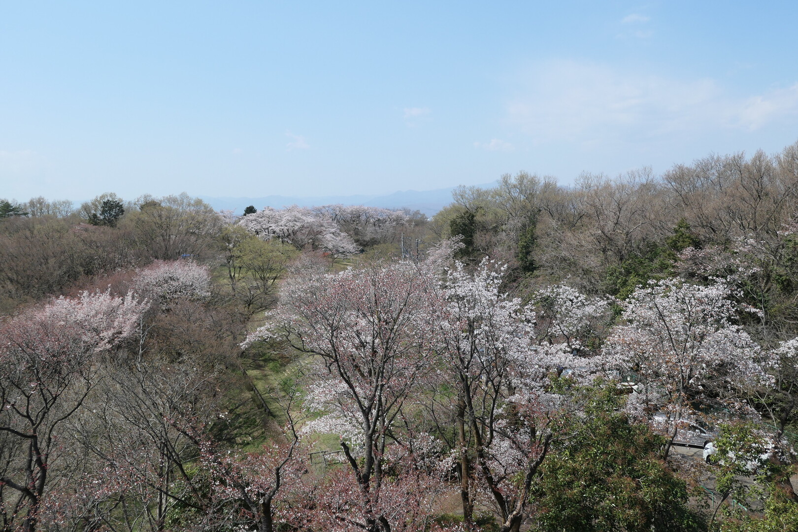 春満喫の狭山丘陵ハイキング Hiroさんの六道山 多摩湖 狭山湖の活動データ Yamap ヤマップ