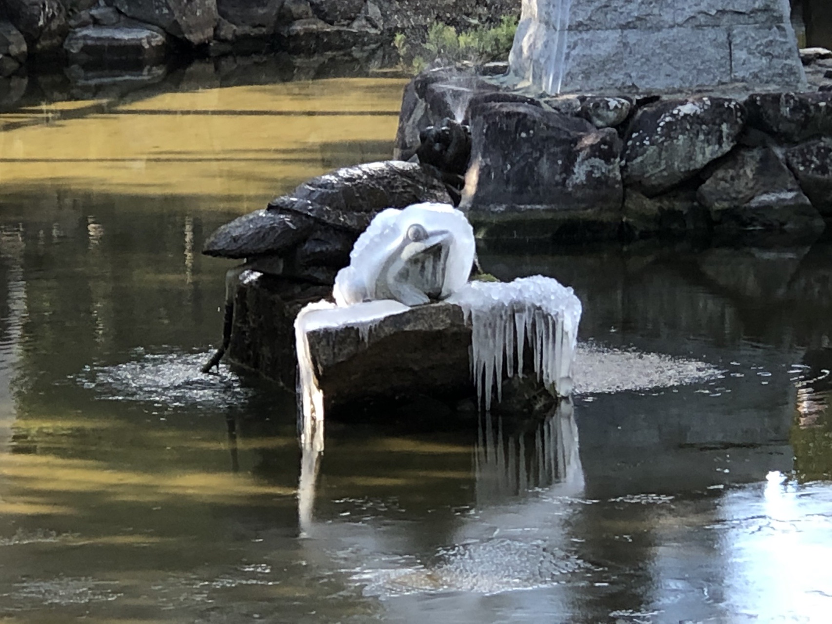 先山（せんざん）淡路富士 / ヤマンバ〜バンバンさんの淡路島の活動 