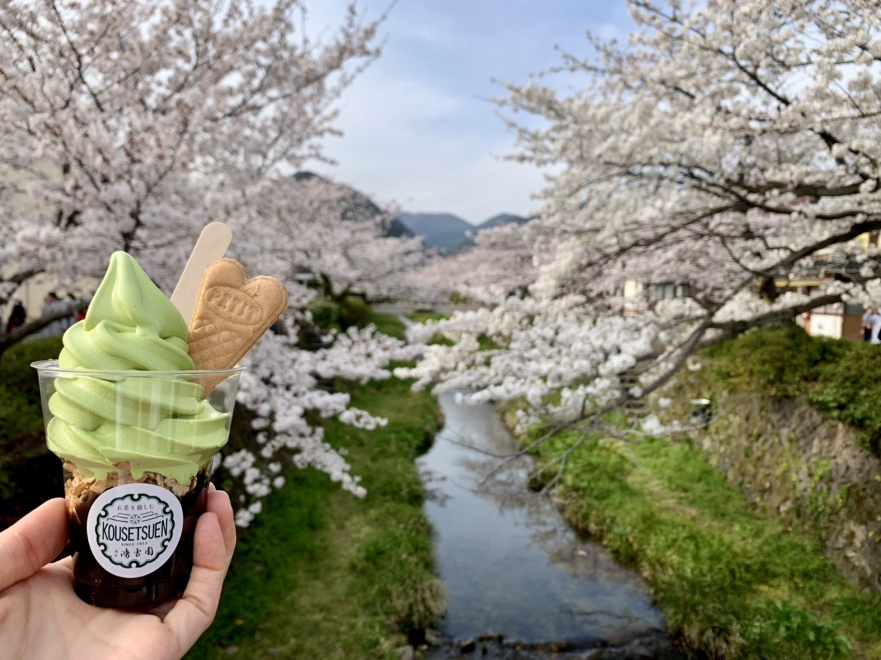 ゆっくり 東鳳翩山 ショウゲン山 萩往還下山 一の坂川 しのぶさんの東鳳翩山 西鳳翩山 鴻ノ峰の活動データ Yamap ヤマップ