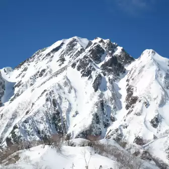 大遠見山から五竜岳の武田菱❖。大遠見山を本日のゴールとして引き返します。