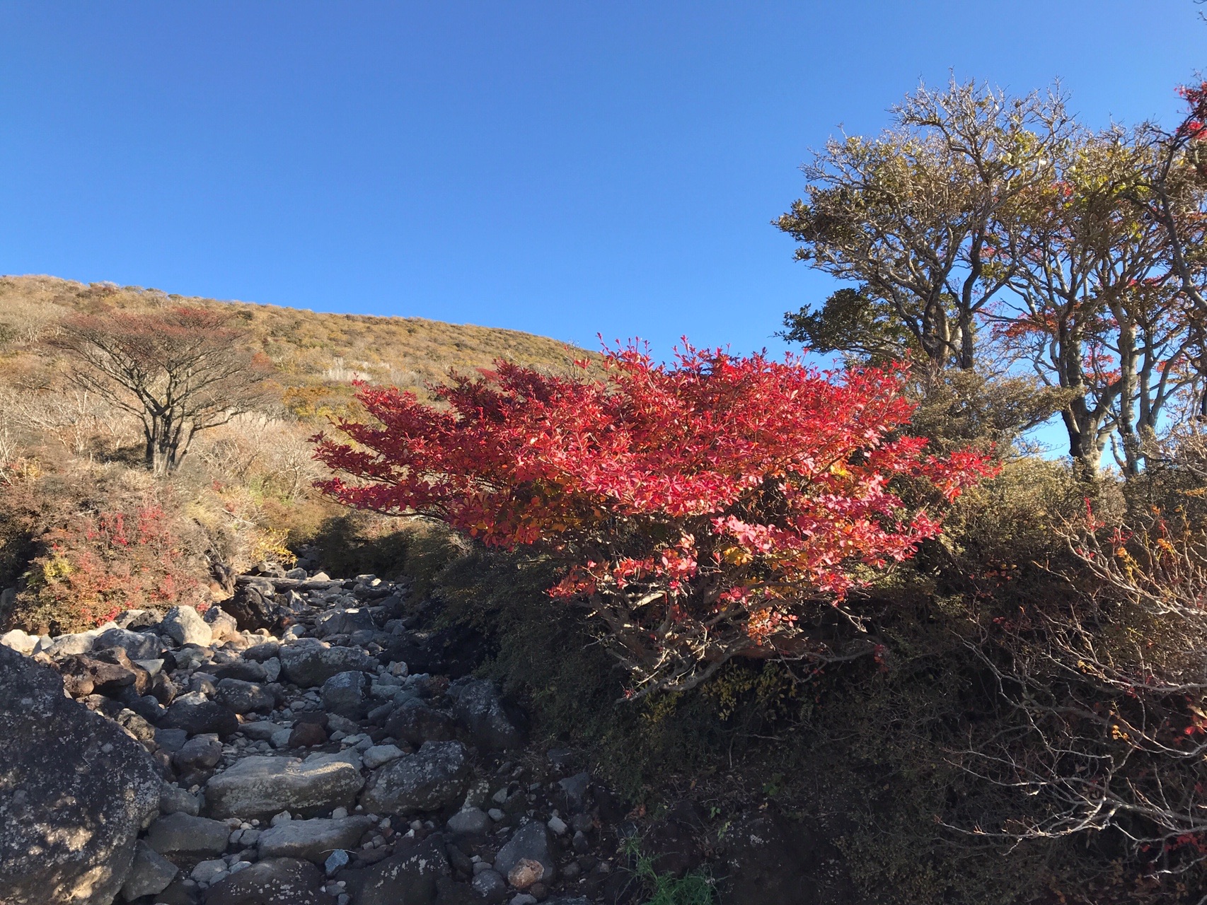 韓国岳と大浪池 紅葉 アキさんの霧島山 韓国岳 高千穂峰 夷守岳 烏帽子岳の活動データ Yamap ヤマップ