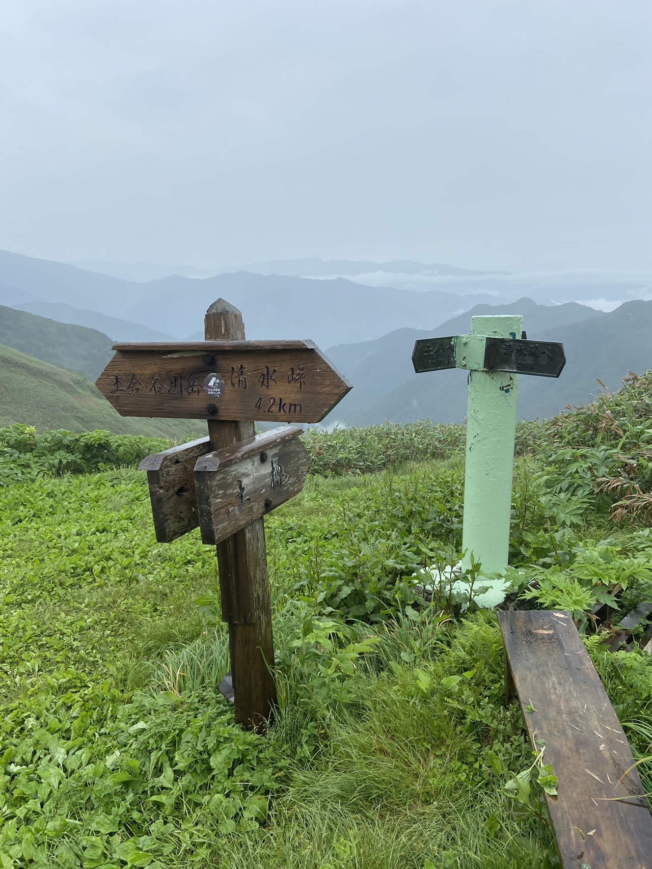 馬蹄形縦走初チャレンジ 敗退 06 27 28 釣日和さんの谷川岳 七ツ小屋山 大源太山の活動データ Yamap ヤマップ