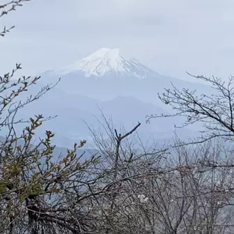 春霞の富士山も良いです。