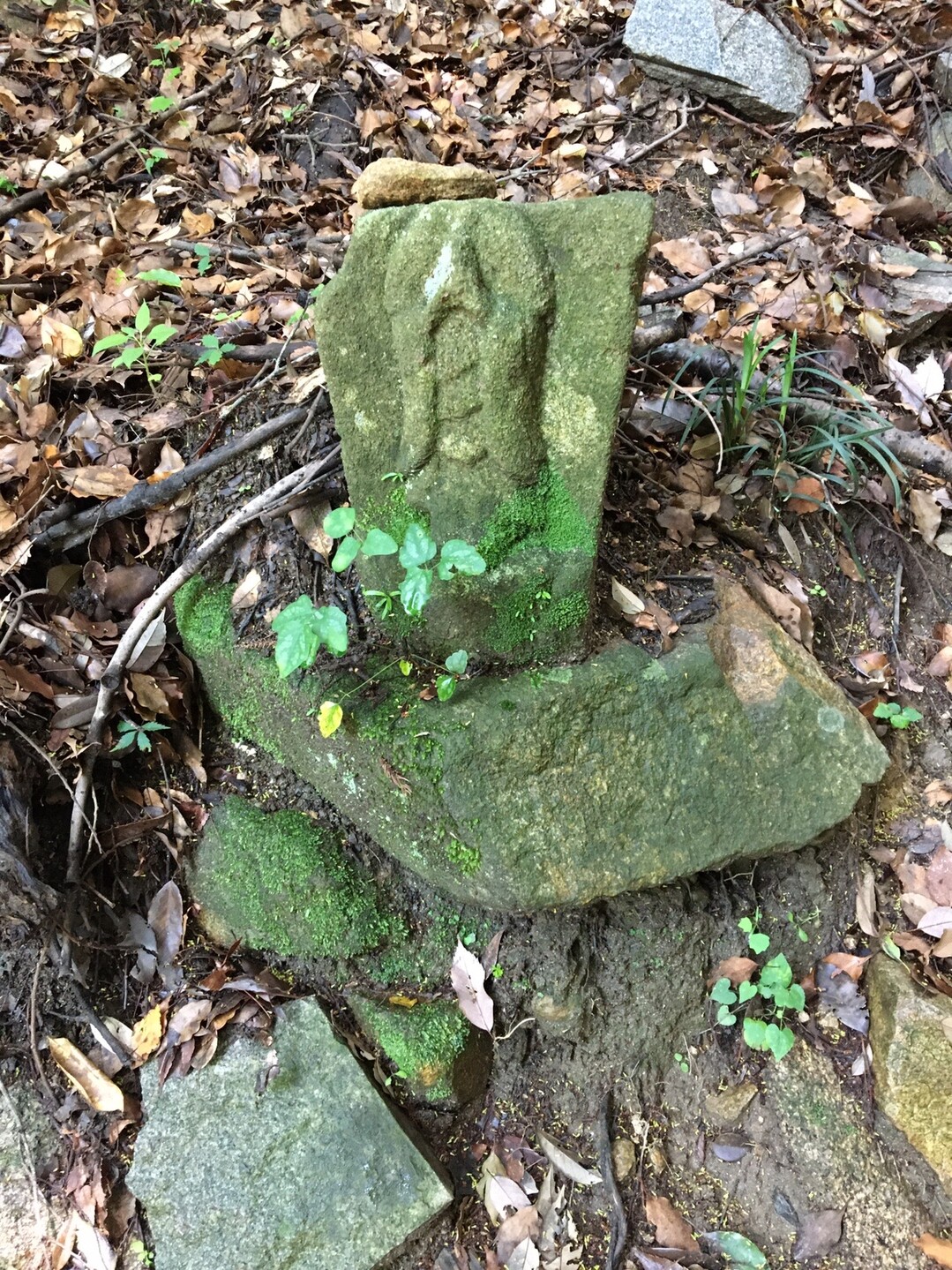 椎尾山 坊主山 筑波山 男体山 な みさんの筑波山の活動日記 Yamap ヤマップ