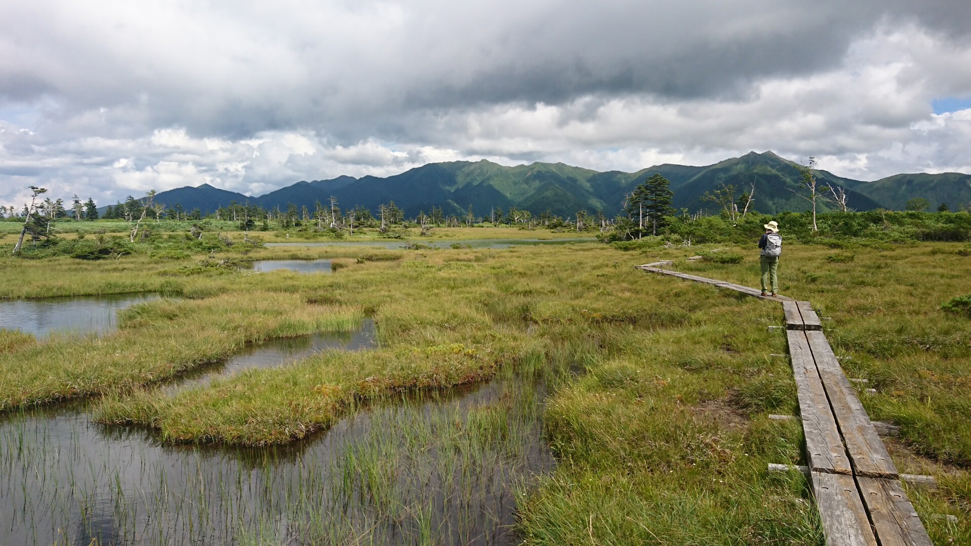 大雪山 沼の原湿原-2022-08-13 / MASARUnさんの大雪山系・旭岳・トムラウシの活動データ | YAMAP / ヤマップ