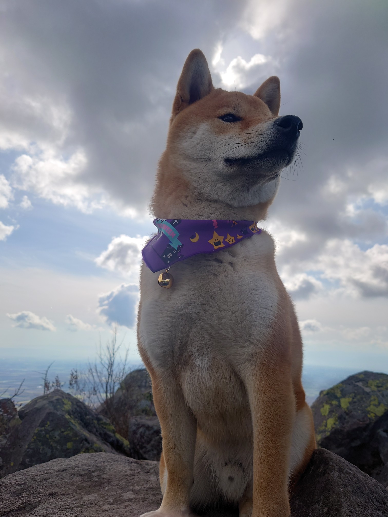 イボ痔と診断されました ダンディーさんの帯広市の活動データ Yamap ヤマップ