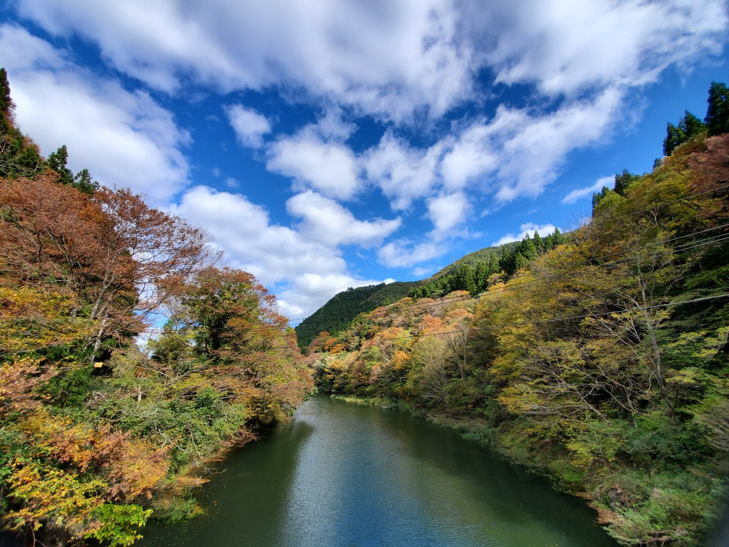 紅葉の森十方山🍁 / YAMAMIさんの十方山の活動データ YAMAP / ヤマップ