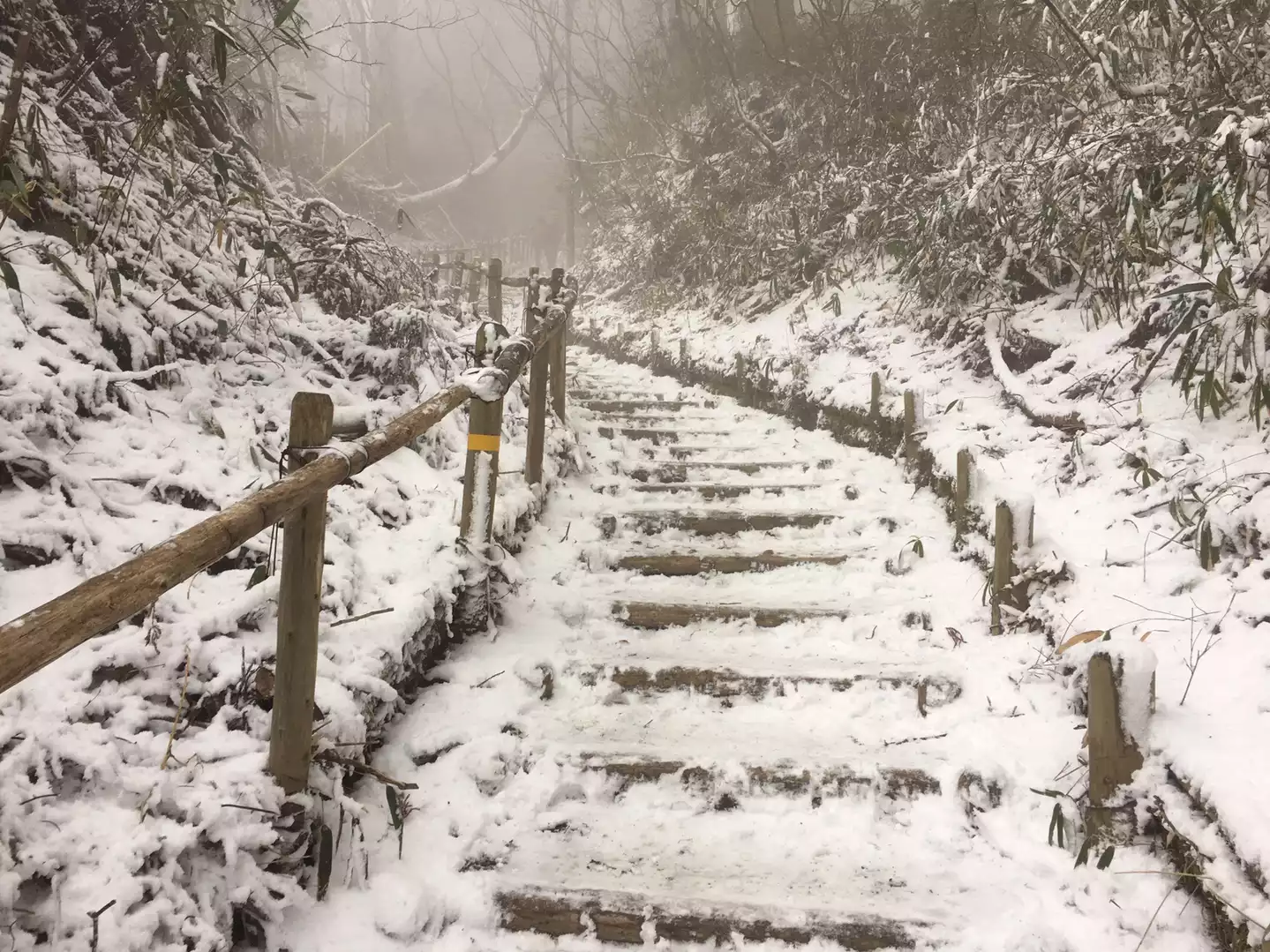 なるほど階段「天国」雪の金剛山 / water quenchさんの金剛山 なるほど階段「天国」雪の金剛山 / water quenchさんの金剛山