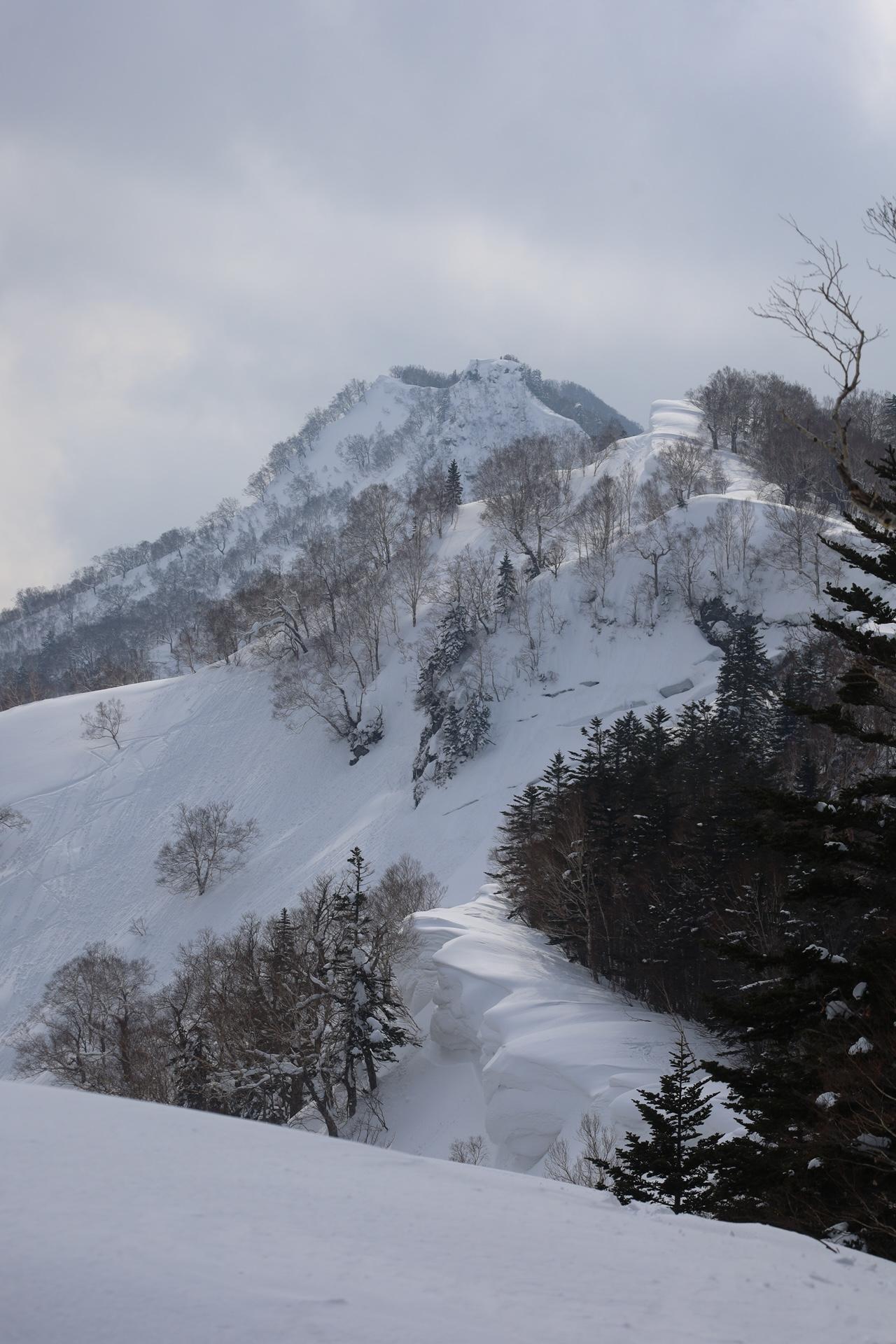 タケノコ山 タケノコ山